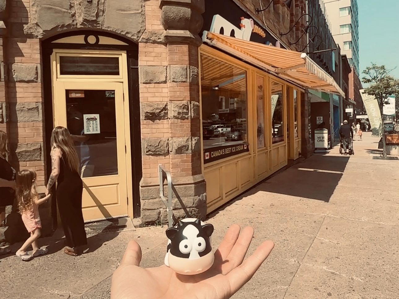 COWS Creamery Charlottetown